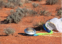 Capsule that successfully returned to Earth