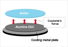 Electrostatic chuck (ESC)