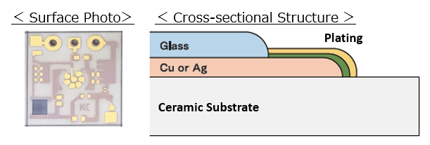 Surface Photo and Cross-sectional Structure