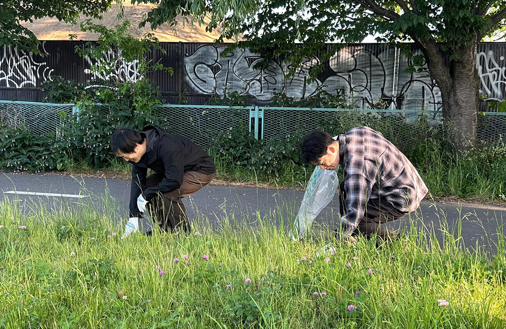 Employees picking up litter along the shore of Lake Suwa